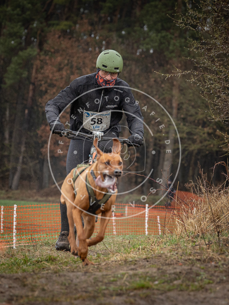 0L8A8965 | Hundefotografie, Tierfotograf, Pfotenfotografie, Fotoshooting Hund, Hunde Portrait, Hundesport, Hundeportraits, Heideshooting, Hunde, Sportfotograf, Hundefotograf, Turnierhundsport, THS,  - Realisiert mit Pictrs.com
