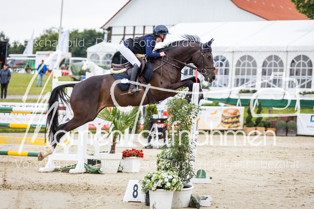 BHO-2PhSpr-M-286 | MomenTaufnahmen Pferdesportfotos