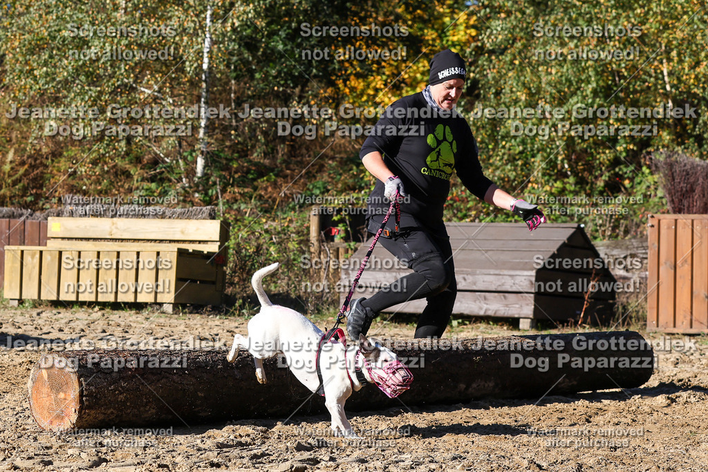 Dog Paparazzi - Strongdog 10-25-2273 | Dog Paparazzi Jeanette Grottendiek Fotografie & Videografie - Realisiert mit Pictrs.com