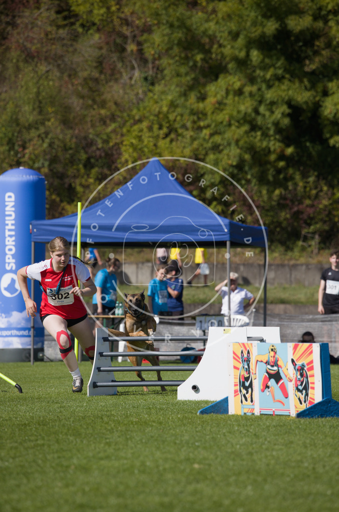 0L8A7256 | Hundefotografie, Tierfotograf, Pfotenfotografie, Fotoshooting Hund, Hunde Portrait, Hundesport, Hundeportraits, Heideshooting, Hunde, Sportfotograf, Hundefotograf, Turnierhundsport, THS,  - Realisiert mit Pictrs.com