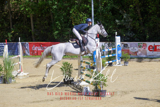 DKP43090 | Deine Turnierfotos vom Reitturnier online kaufen: Dressur, Springen & Siegerehrung. Professionelle Pferdefotografie aus dem Rheinland – als Download & Print.Alternative: Turnierfotograf für den Pferdesport: Finde deine Fotos von Dressur- und Springturnier