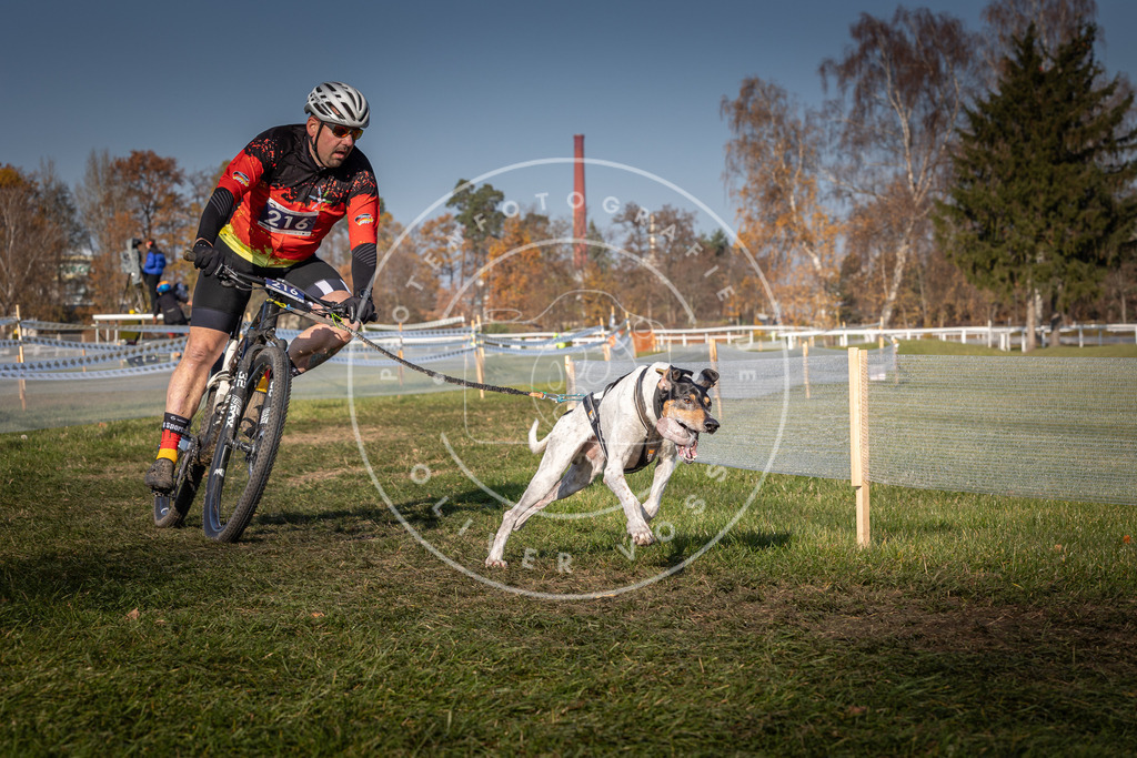 CaniXpix_0L8A6918 | Hundefotografie, Tierfotograf, Pfotenfotografie, Fotoshooting Hund, Hunde Portrait, Hundesport, Hundeportraits, Heideshooting, Hunde, Sportfotograf, Hundefotograf, Turnierhundsport, THS,  - Realisiert mit Pictrs.com