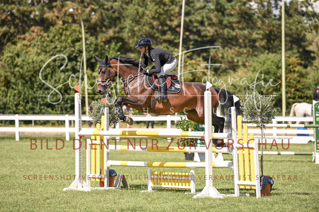 Schugtsche-Düren.2024-09.Springprf.L-48 | Schugtsche Fotografie - Realisiert mit Pictrs.com