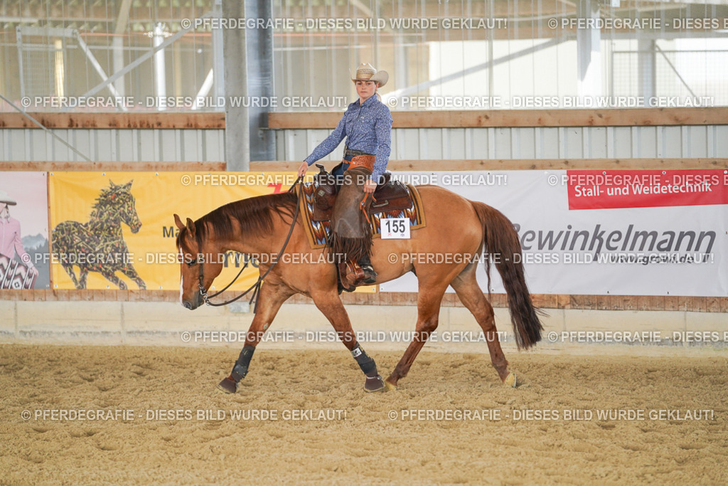 DSC01528 | Pferdegrafie