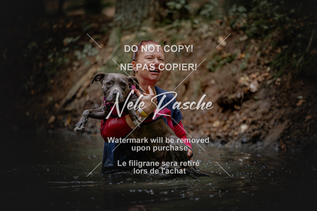 nelerasche_SaWingst1200-1230_241 | nelerasche