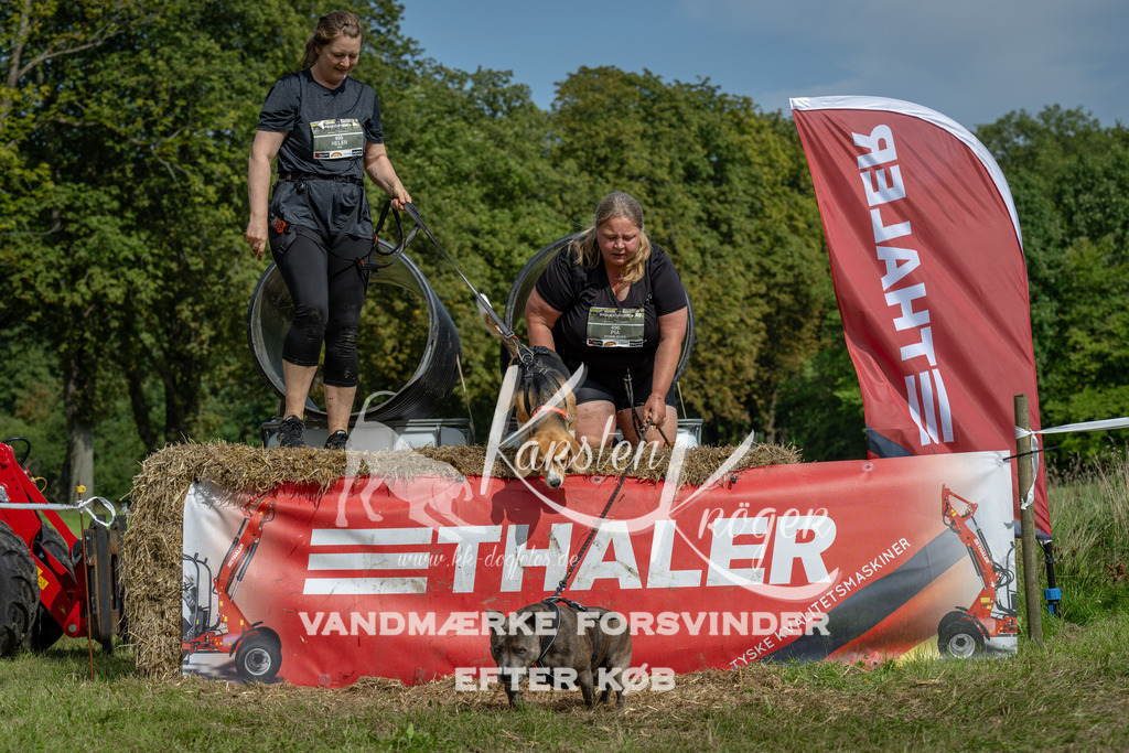 1419_ZZ91076 | kk-dogfotos