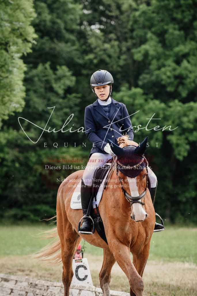 DSC_9972 | Pferde- und Turnierfotografie in Westsachsen. Pferdeportraits, Auftragszeichnungen und intuitive Kunst.