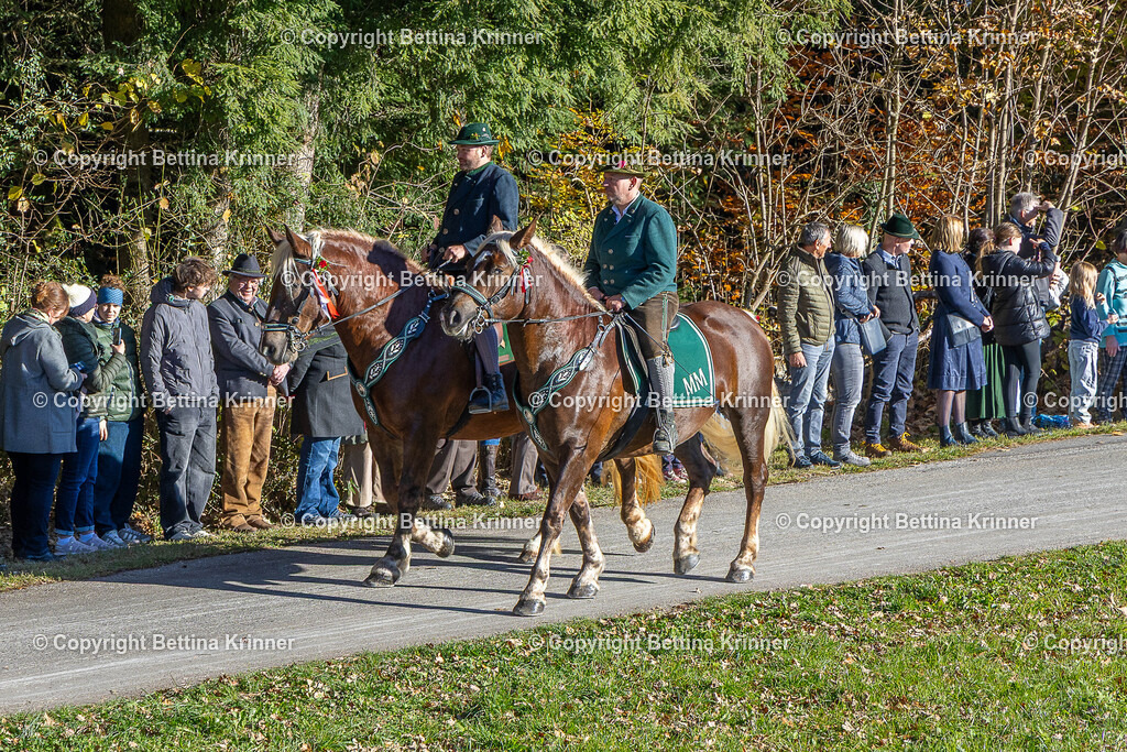 LBT25-204 | foto-bettina-krinner - Realisiert mit Pictrs.com