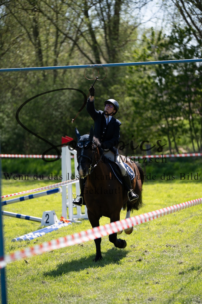 A7V01134 | Pferdefotograf