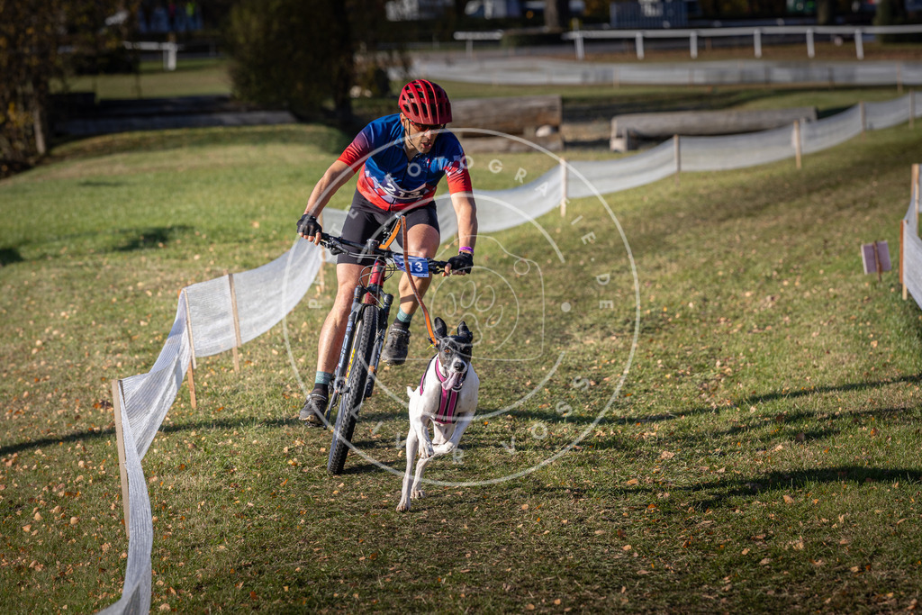 CaniXpix_DV3A3182 | Hundefotografie, Tierfotograf, Pfotenfotografie, Fotoshooting Hund, Hunde Portrait, Hundesport, Hundeportraits, Heideshooting, Hunde, Sportfotograf, Hundefotograf, Turnierhundsport, THS,  - Realisiert mit Pictrs.com