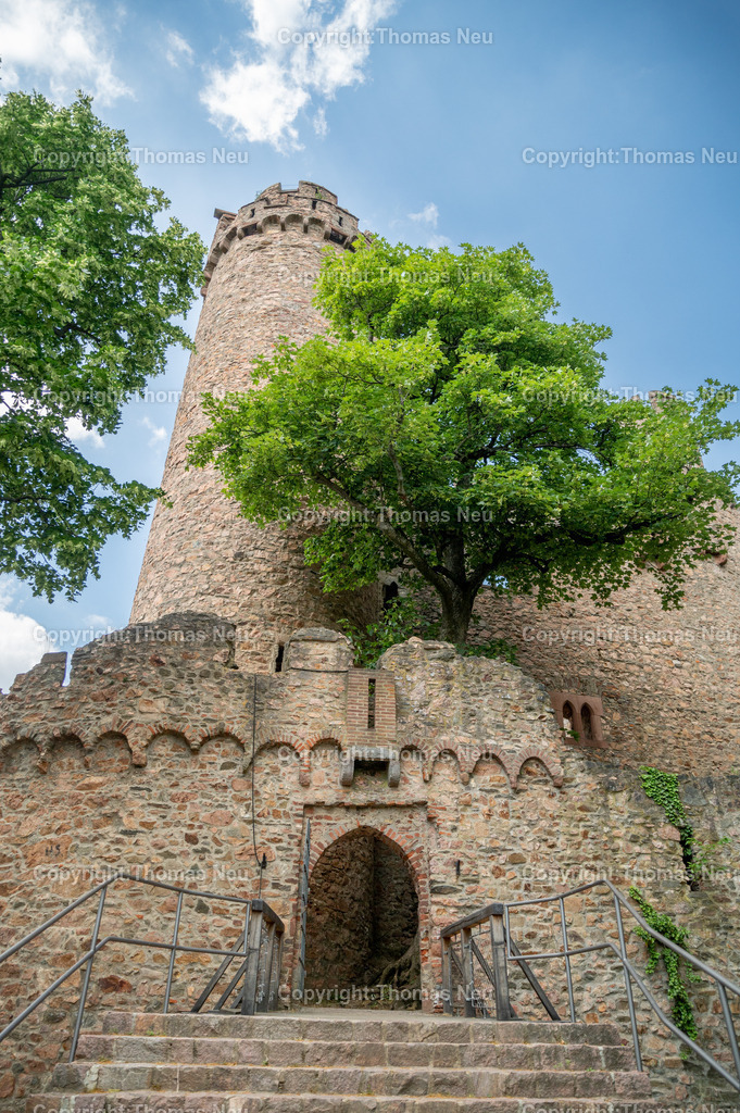 DSC_0676 | Schloss Auerbach,  Burgruine an der Hessischen Bergstraße im Bensheimer Stadtteil Auerbach,  Bild: Thomas Neu
