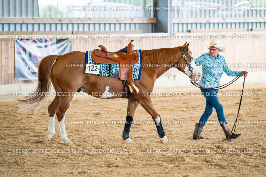 DSC06893 | Pferdegrafie