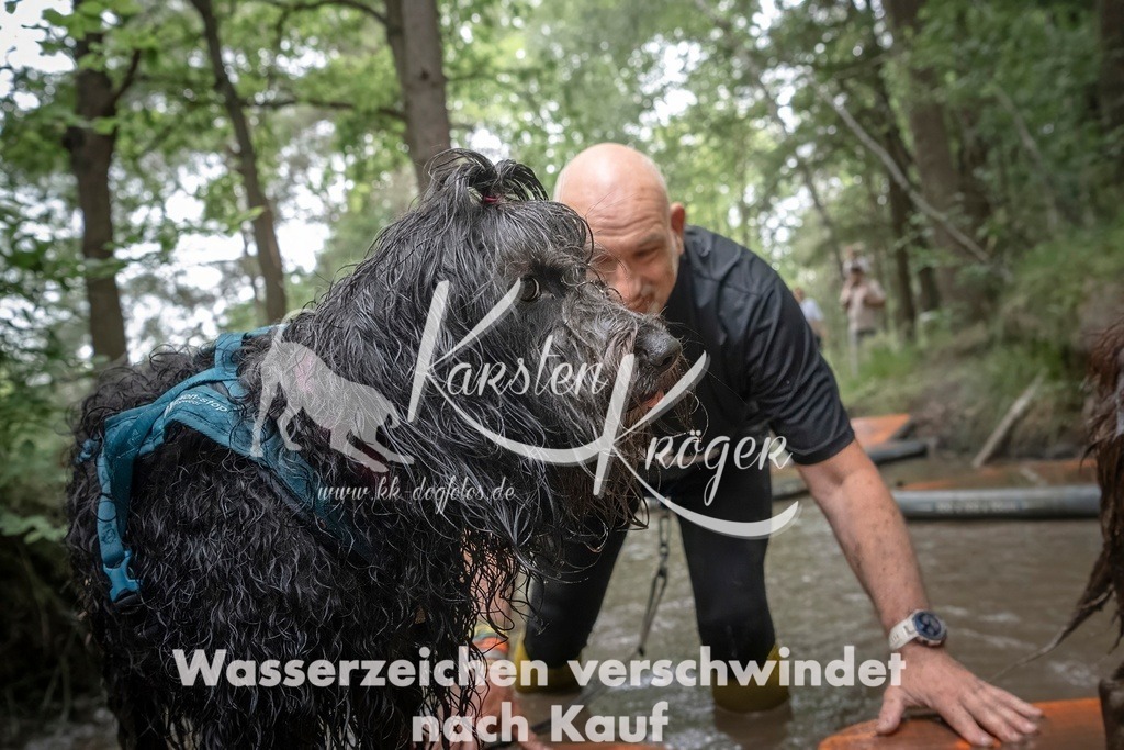 1212_ZZ97849T | kk-dogfotos