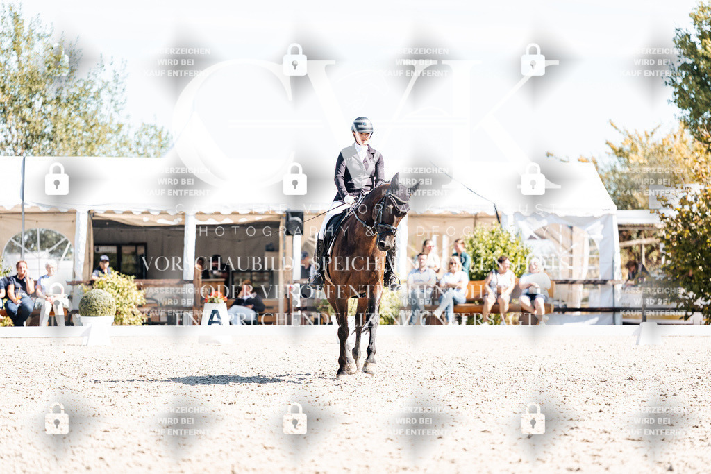CK909707 | Turnierfotografie Pferdefotografie Trier Rheinland-Pfalz Pferdesport Reitsport Tierfotografie Sportfotografie Pferdevideo Pferdevideografie Equestrianvideography equestrianphotography  - Realisiert mit Pictrs.com