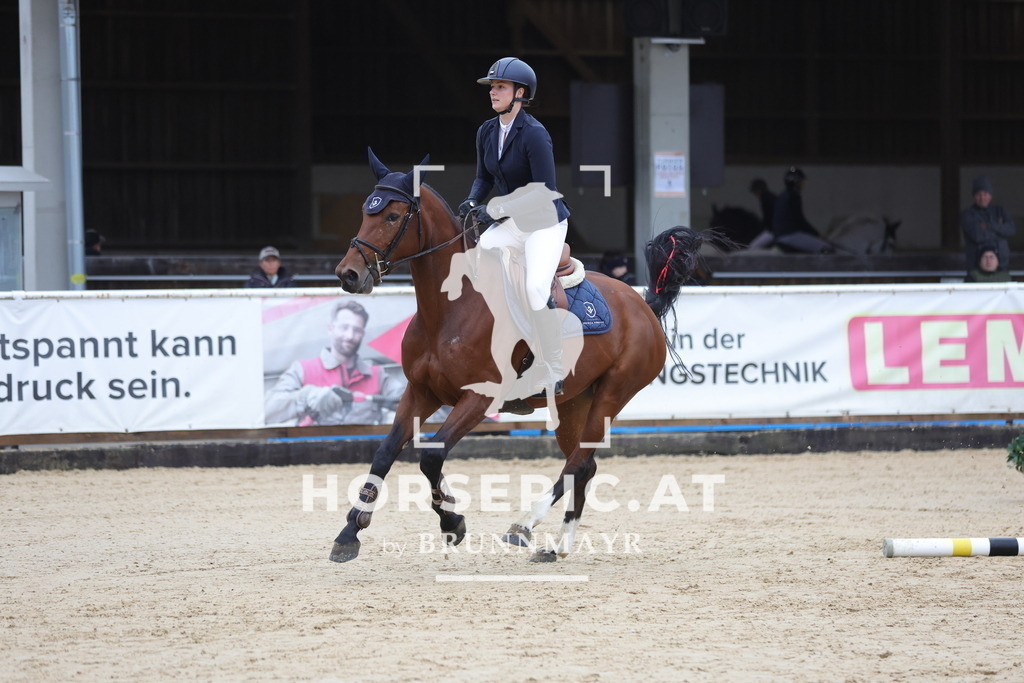 0P6A6756 | Willkommen bei Brunnmayr - Design & Fotografie – Ihrem Spezialisten für Reitturniere und Pferdeveranstaltungen in Oberösterreich, Salzburg und Bayern! Seit über 17 Jahren sind wir leidenschaftlich dabei.