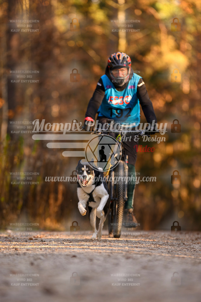 MompixPhotography_DM_AKDM_SO_2025_Bike-168 | PayLife
