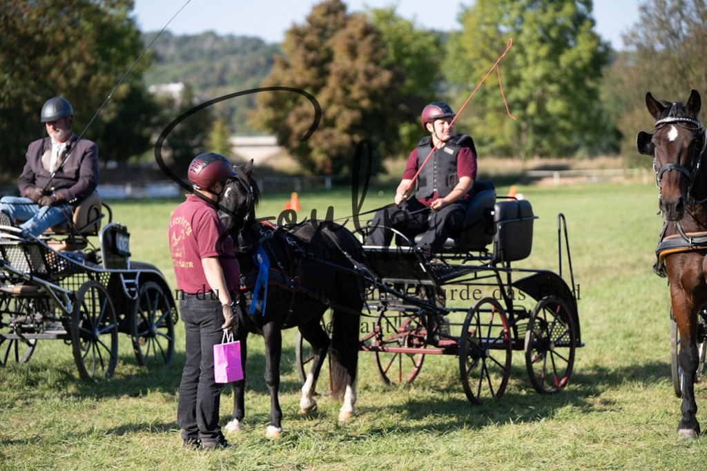 A7V04571 | Pferdefotograf