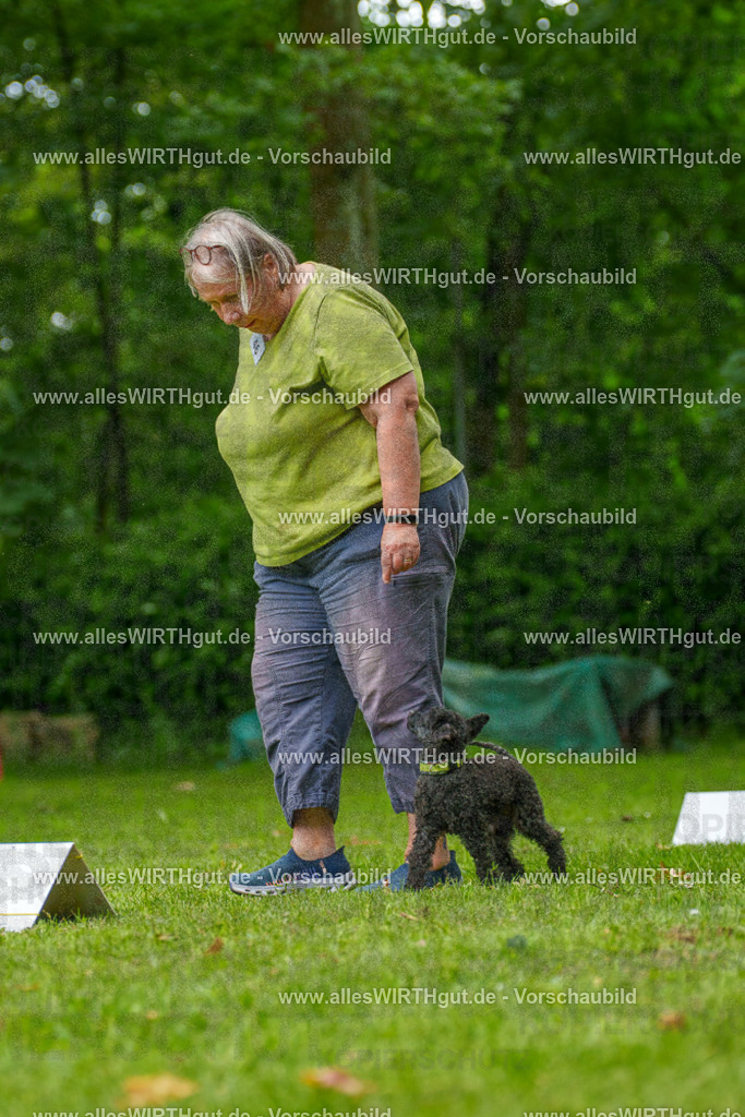 @allesWIRTHgut_Tierfotografie - www.allesWIRTHgut.de - 7R500342 | Professionelle Tierfotografie in Mönchengladbach von Daniel Wirth (allesWIRTHgut). Liebevolle & natürliche Bilder von Hunden & Katzen für unvergessliche Erinnerungen.