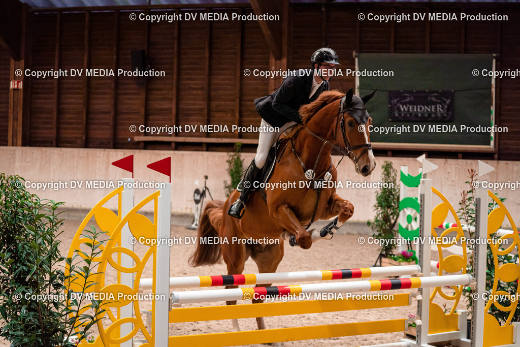 Springen Tag 1-50 | dv-media-shop - Realisiert mit Pictrs.com