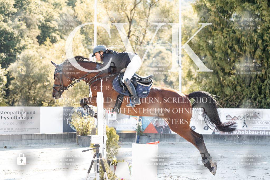 CK904236 | Turnierfotografie Pferdefotografie Trier Rheinland-Pfalz Pferdesport Reitsport Tierfotografie Sportfotografie Pferdevideo Pferdevideografie Equestrianvideography equestrianphotography  - Realisiert mit Pictrs.com