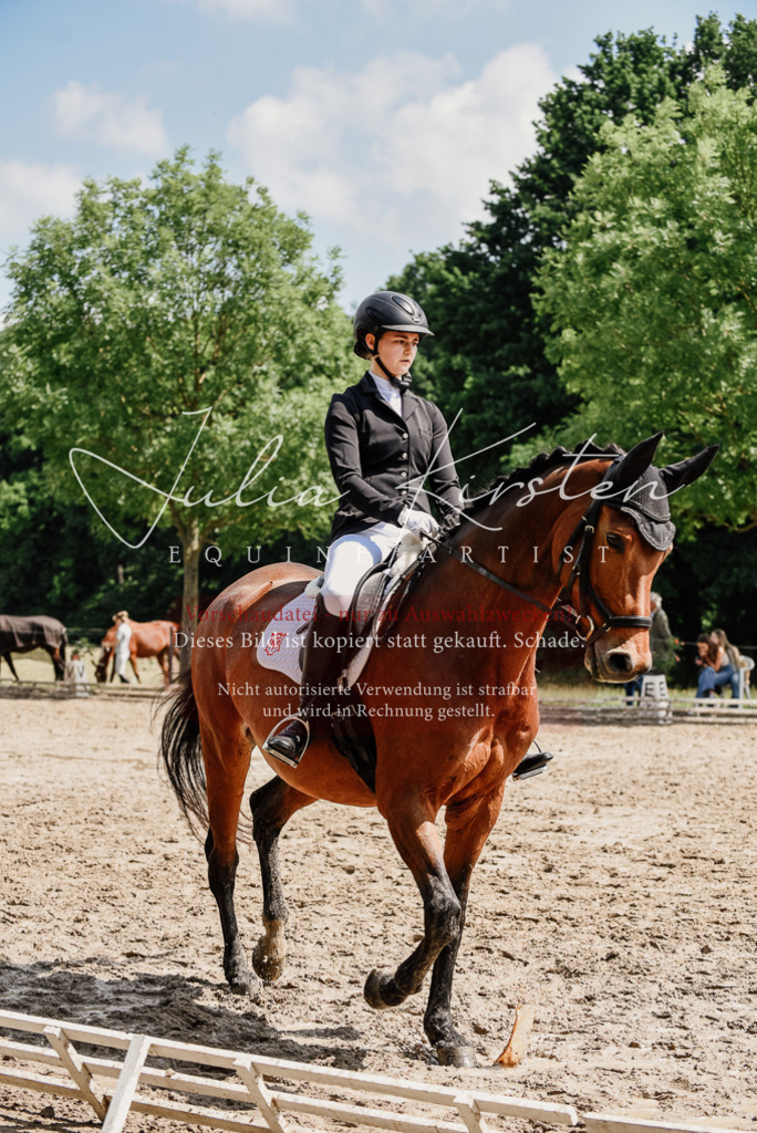 DSC_1000 | Pferde- und Turnierfotografie in Westsachsen. Pferdeportraits, Auftragszeichnungen und intuitive Kunst.