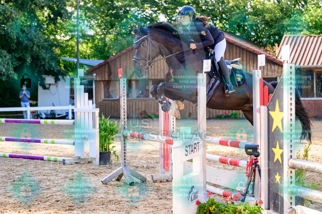 30082026-Giesenbach-Prfg16-0143 | Fokus Hufschlag Fotografie - Realisiert mit Pictrs.com