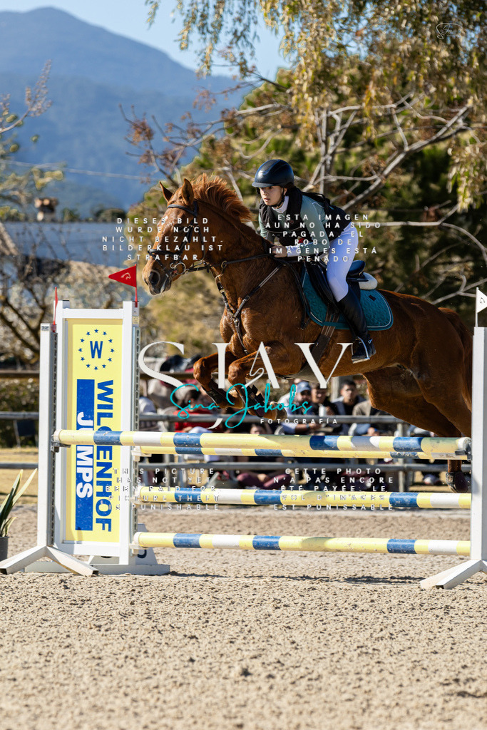 IMG_1278 | s-jay-photography - Realisiert mit Pictrs.com