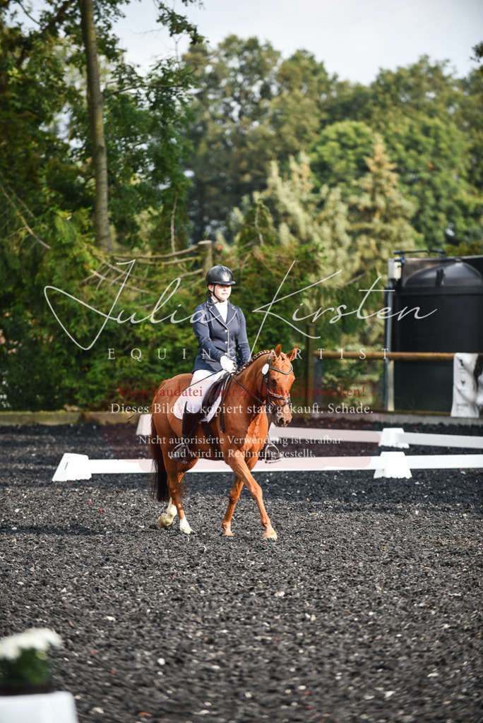 DSC_3419 | Pferde- und Turnierfotografie in Westsachsen. Pferdeportraits, Auftragszeichnungen und intuitive Kunst.