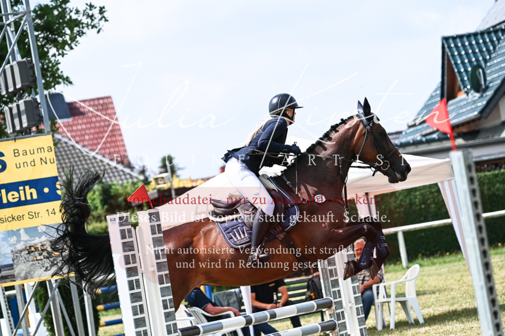 DSC_9118 | Pferde- und Turnierfotografie in Westsachsen. Pferdeportraits, Auftragszeichnungen und intuitive Kunst.