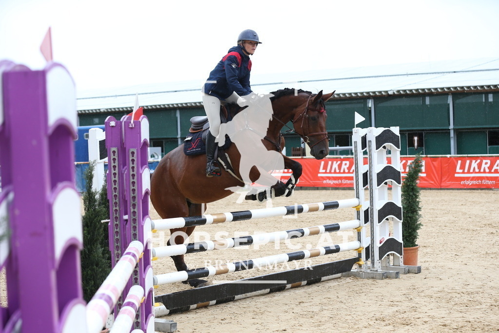 DL2Q6115 | Willkommen bei Brunnmayr - Design & Fotografie – Ihrem Spezialisten für Reitturniere und Pferdeveranstaltungen in Oberösterreich, Salzburg und Bayern! Seit über 17 Jahren sind wir leidenschaftlich dabei.