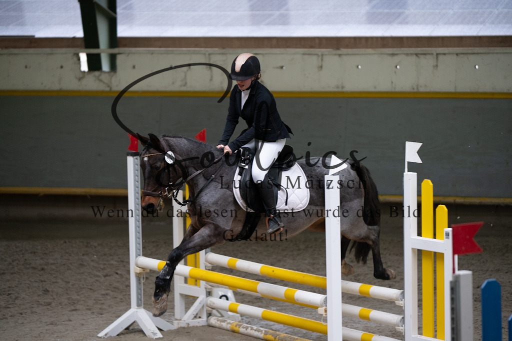 A7V00937 | Pferdefotograf