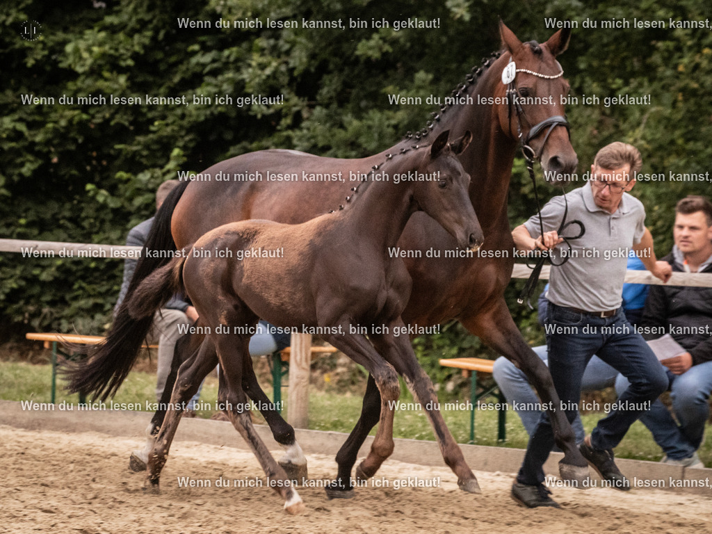 A10I6971 | photographylinaismer - Realisiert mit Pictrs.com