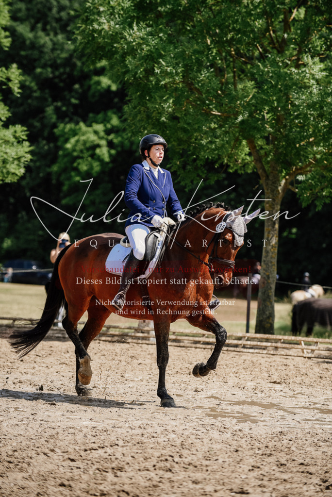 DSC_1199 | Pferde- und Turnierfotografie in Westsachsen. Pferdeportraits, Auftragszeichnungen und intuitive Kunst.