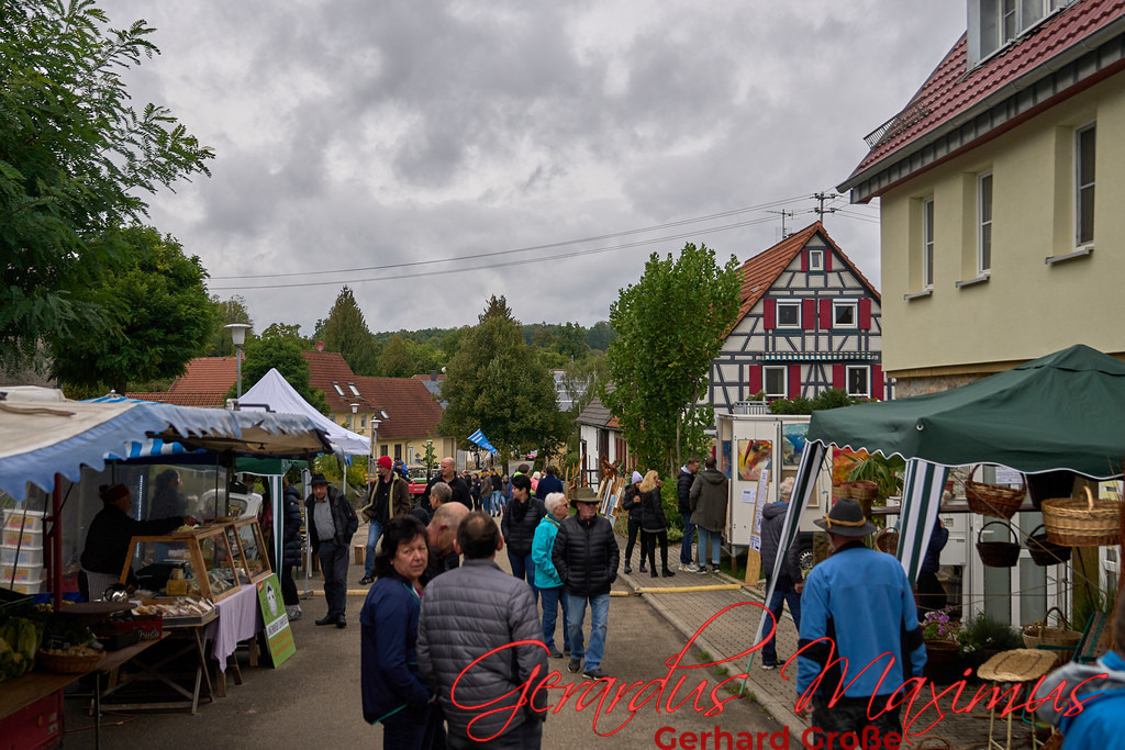 Schleierhof Hoffest 2022 246 | Chor für Alle | Biberach - Realisiert mit Pictrs.com