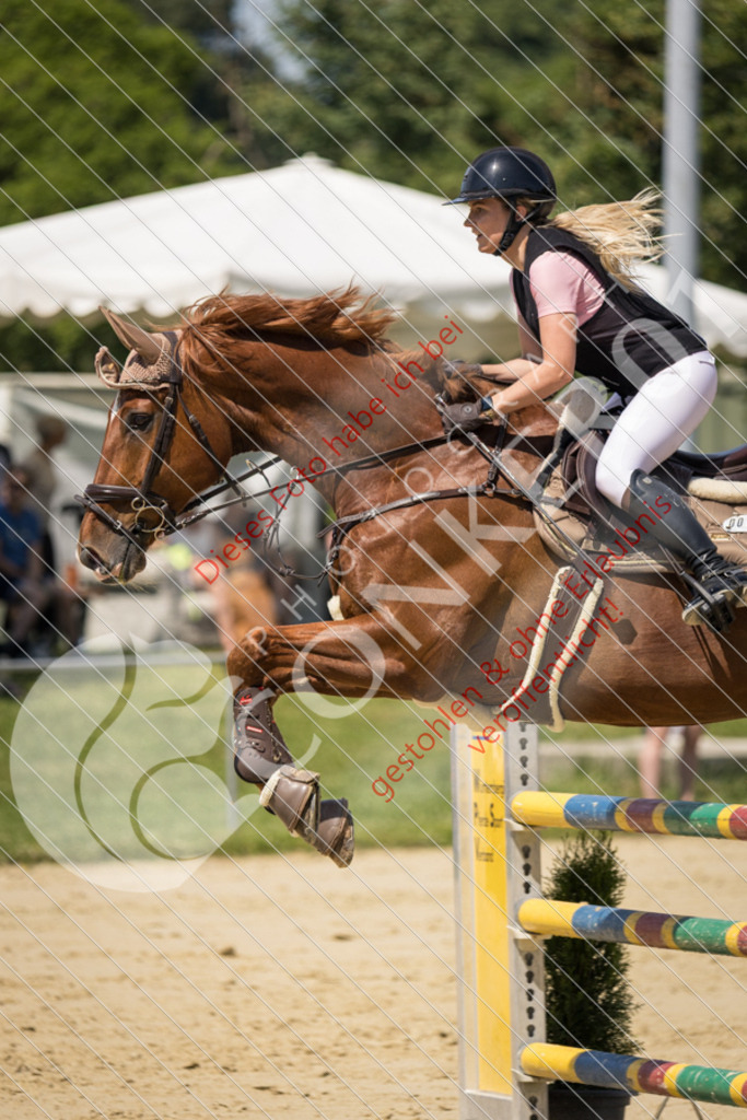 IMG_9492 | Sport-, Event- und Tierfotos in Profiqualität. Einfach auswählen, bestellen und herunterladen. Dein Moment – perfekt festgehalten.