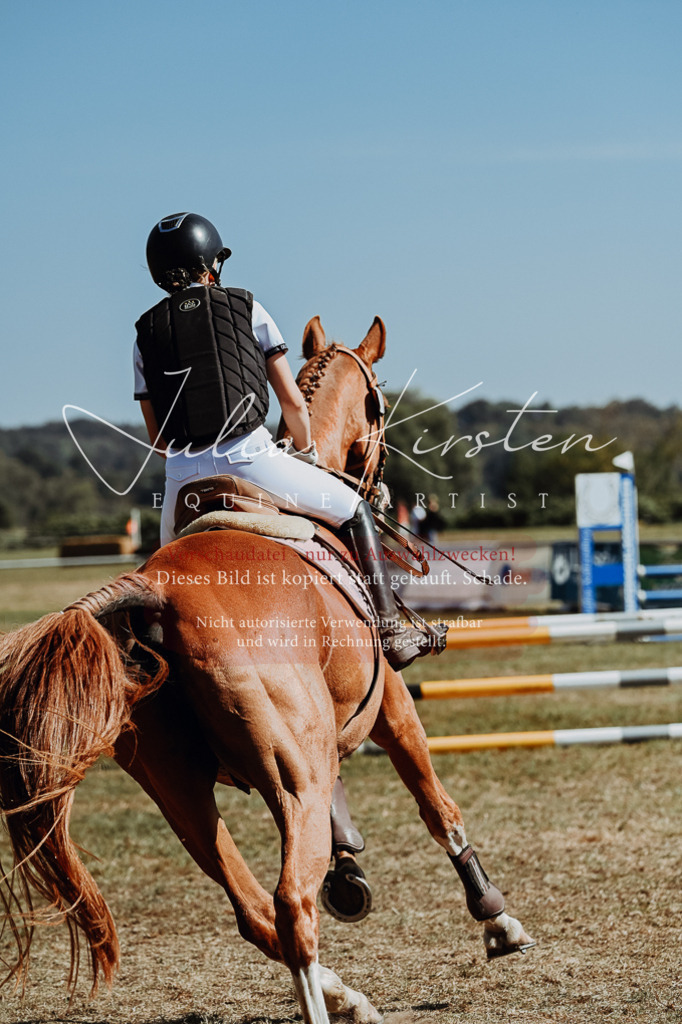 DSC_9530 | Pferde- und Turnierfotografie in Westsachsen. Pferdeportraits, Auftragszeichnungen und intuitive Kunst.
