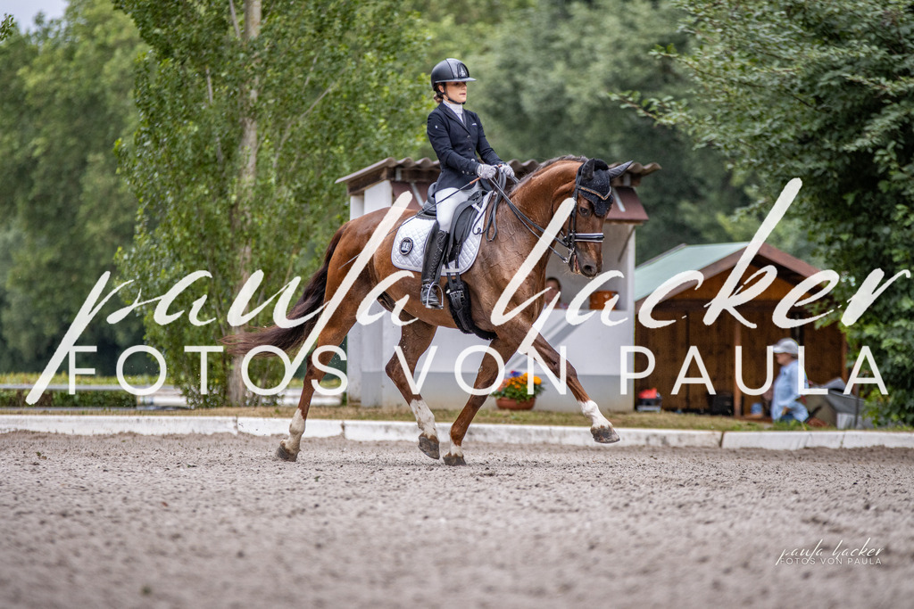 IMG_6466 | Erleben Sie dynamische Sport- und emotionale Tierfotografie in Süddeutschland mit Fotos von Paula. Spezialisiert auf Pferde- und Hundefotografie sowie Sportevents. Kontaktieren Sie mich für einzigartige und ausdrucksstarke Bilder Ihrer besonderen Momente. - Realisiert mit Pictrs.com