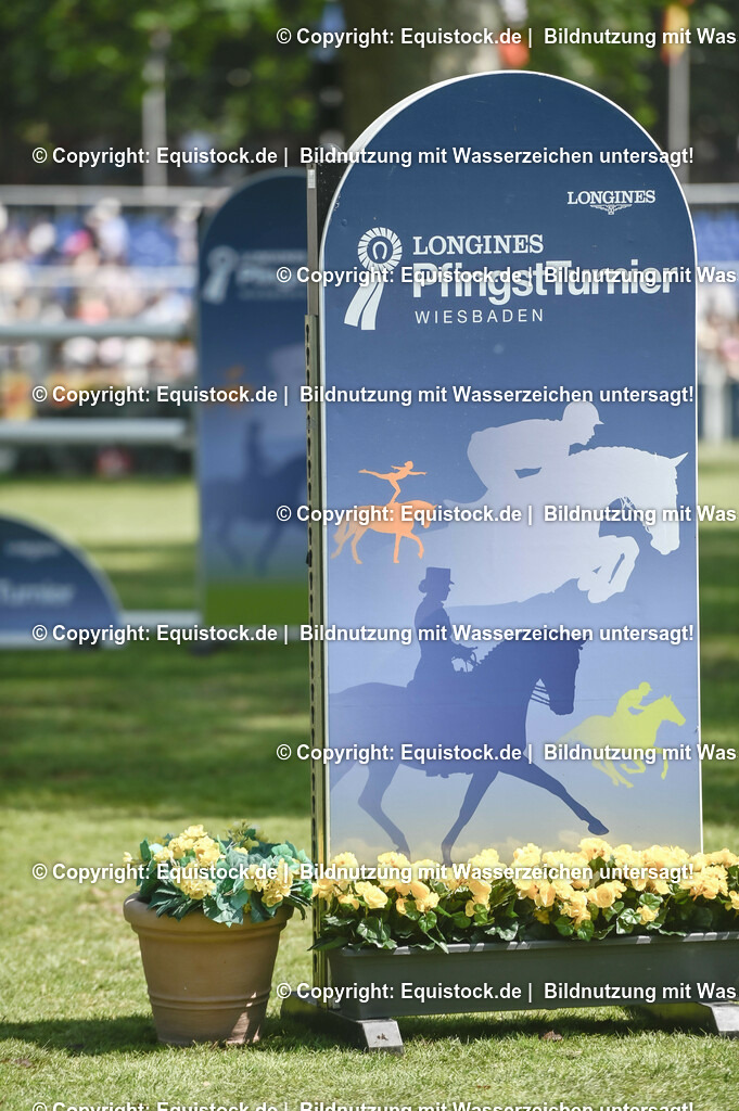 D78_3489 | equistock