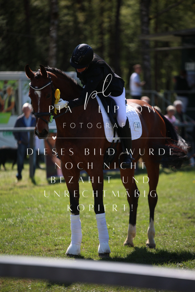 IMGT7870 | pl-fotografie