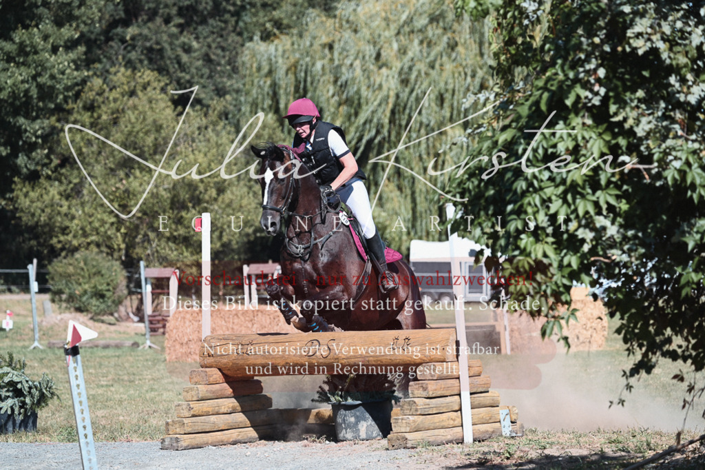 DSC_8559 | Pferde- und Turnierfotografie in Westsachsen. Pferdeportraits, Auftragszeichnungen und intuitive Kunst.