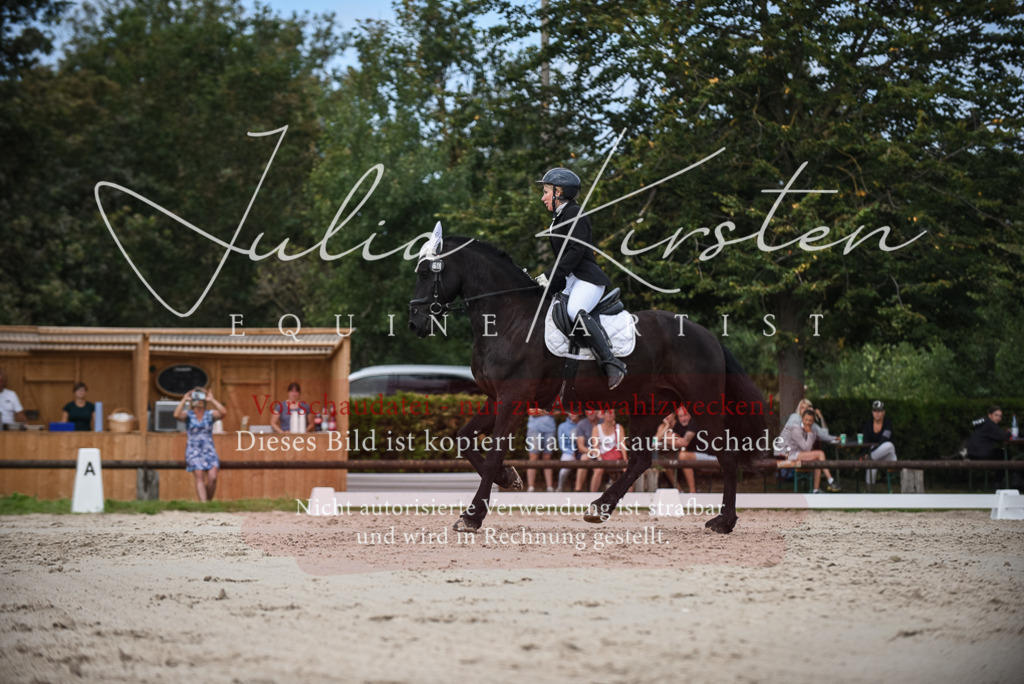 DSC_8634 | Pferde- und Turnierfotografie in Westsachsen. Pferdeportraits, Auftragszeichnungen und intuitive Kunst.
