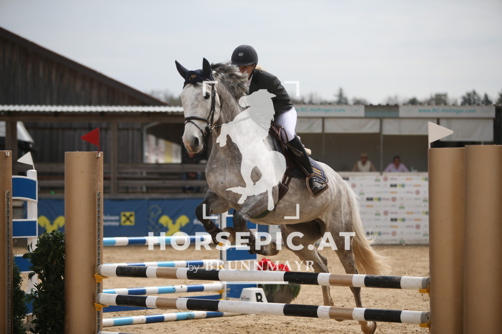 PP017189 | Willkommen bei Brunnmayr - Design & Fotografie – Ihrem Spezialisten für Reitturniere und Pferdeveranstaltungen in Oberösterreich, Salzburg und Bayern! Seit über 17 Jahren sind wir leidenschaftlich dabei.