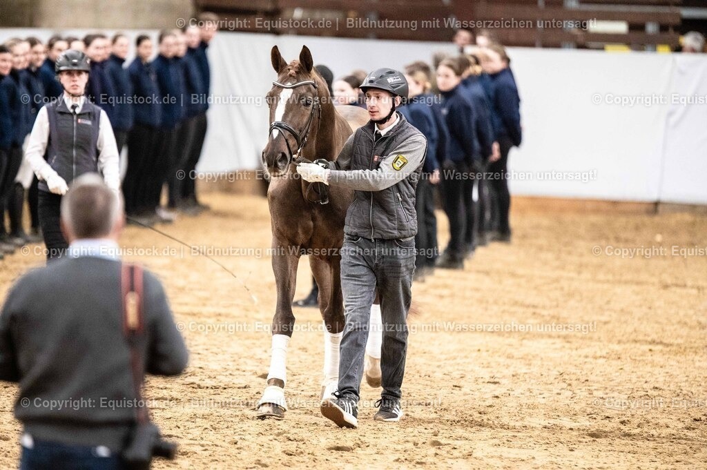 20260307_Hengstvorstellung-Marbach_0530 | equistock