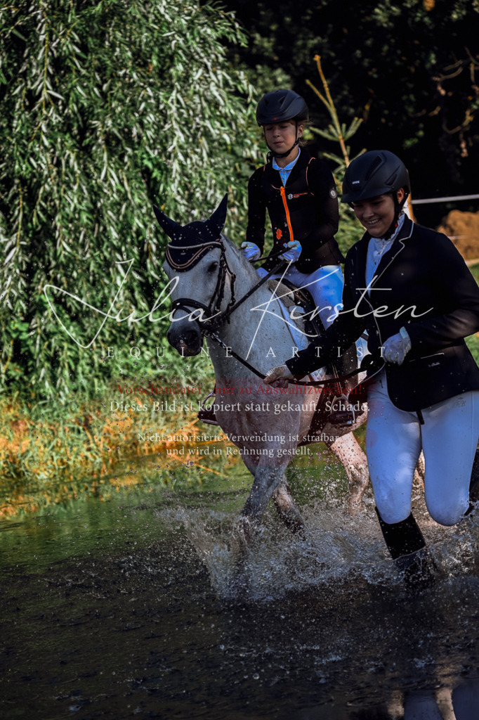 DSC_0447 | Pferde- und Turnierfotografie in Westsachsen. Pferdeportraits, Auftragszeichnungen und intuitive Kunst.