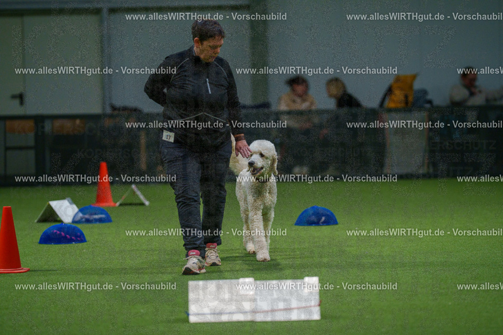 7R505553 | Professionelle Tierfotografie in Mönchengladbach von Daniel Wirth (allesWIRTHgut). Liebevolle & natürliche Bilder von Hunden & Katzen für unvergessliche Erinnerungen.