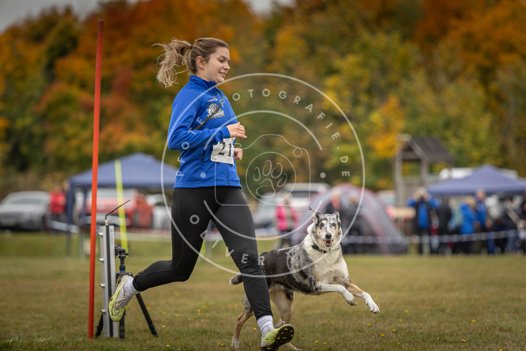 Pfotenfotografie_DV3A3416 | Hundefotografie, Tierfotograf, Pfotenfotografie, Fotoshooting Hund, Hunde Portrait, Hundesport, Hundeportraits, Heideshooting, Hunde, Sportfotograf, Hundefotograf, Turnierhundsport, THS,  - Realisiert mit Pictrs.com
