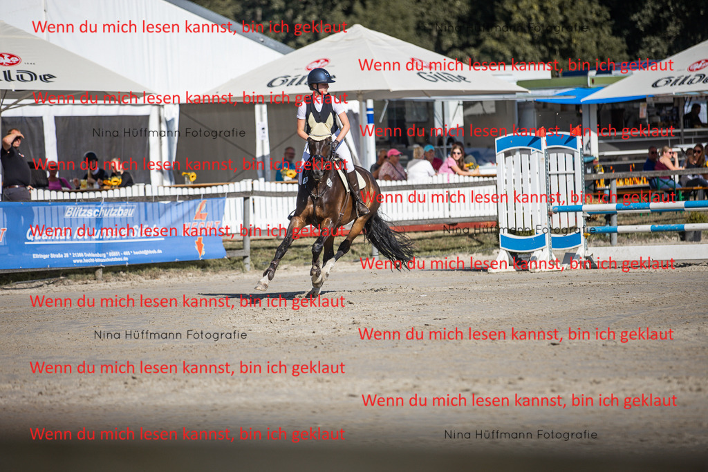 BK1A7380 | Turnierbilder Turnierfotos Nina Hüffmann Turnierfotografie Pferdefotografie Tierzeichnung Haustierzeichnung Pferdezeichnung Hundezeichnung Videograf  - Realisiert mit Pictrs.com