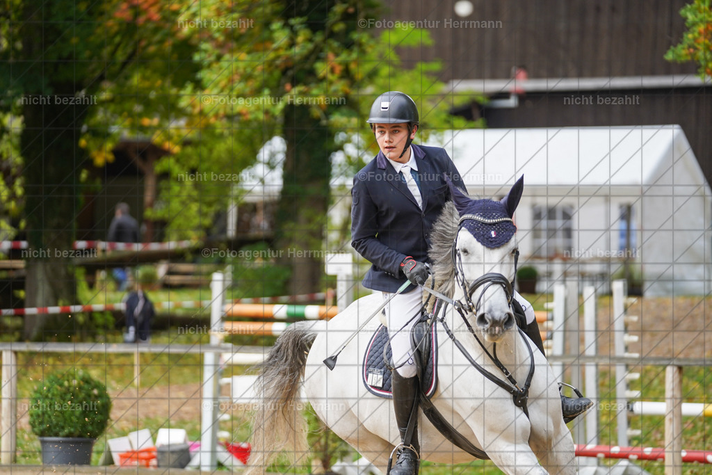 20221009-FAH08362 | Diessen am Ammersee, 2022, Dressur- und Springturnier, Reitsportbilder, Turnierfotografen Bayern, Pferdefotografen, Fotoagentur Herrmann, Turnierbilder