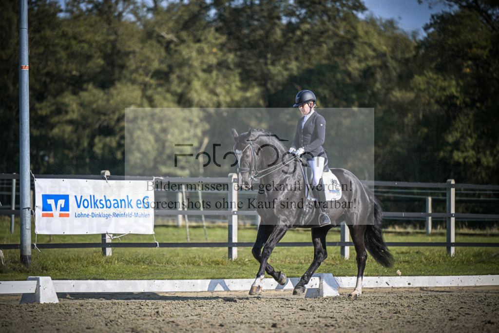DOS_3008 | Entdecke hochwertige Reitturnierfotos von Foto Oger. Professionell, emotional und authentisch – jetzt Lieblingsmomente im Shop bestellen.Deutschlandweite Turnierfotografie. - Realisiert mit Pictrs.com