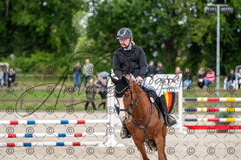 KPT_6232 | andre_photographic